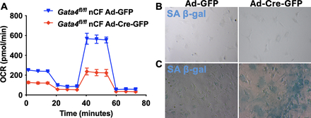 4524400_File000004.jpg