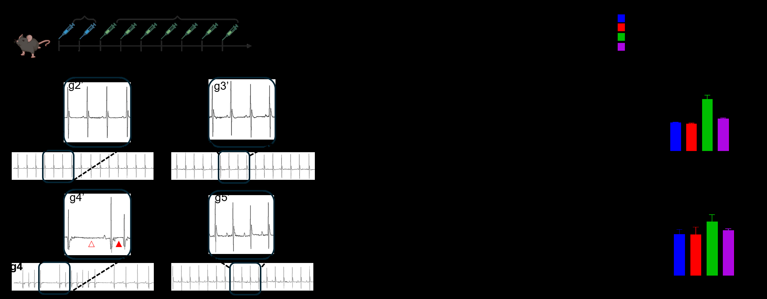 4531239_File000001.jpg