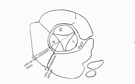 4531416_File000000.jpg