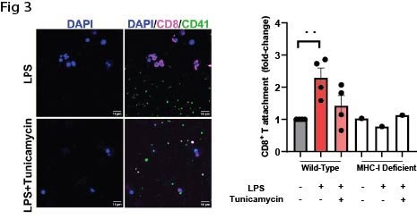 4508185_File000002.jpg
