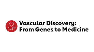 vasculardiscovery2026